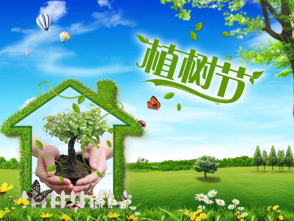 北京現(xiàn)代“智現(xiàn)代，植未來”，你我共建森林邵陽