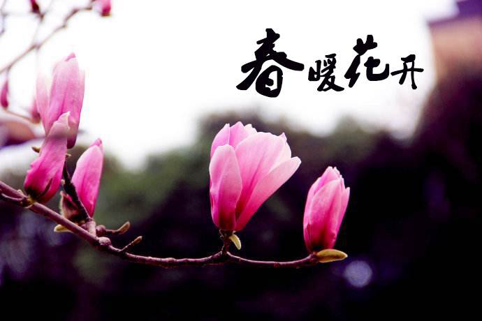 春暖花開 教你春季如何做汽車保養(yǎng)！