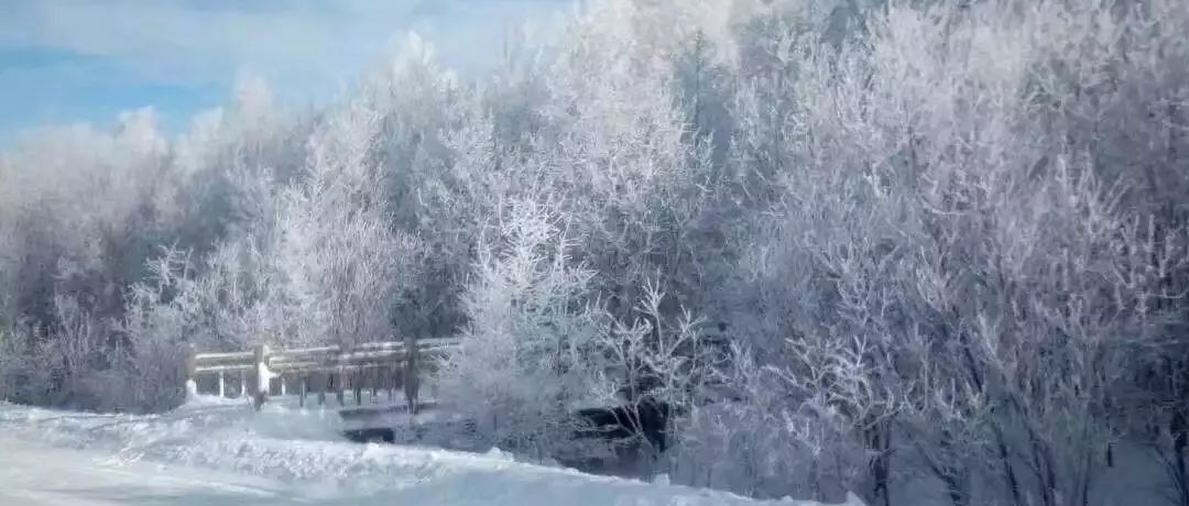 奕行記|奕路向北，駛向雪國(guó)阿爾山